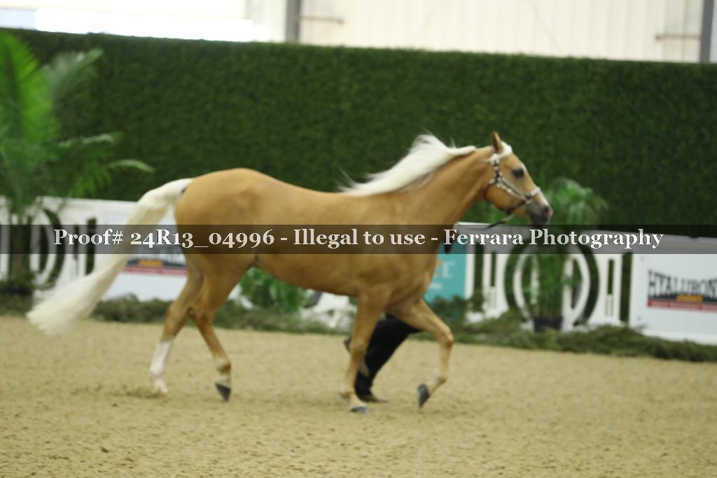 Proof 24R13_04996
