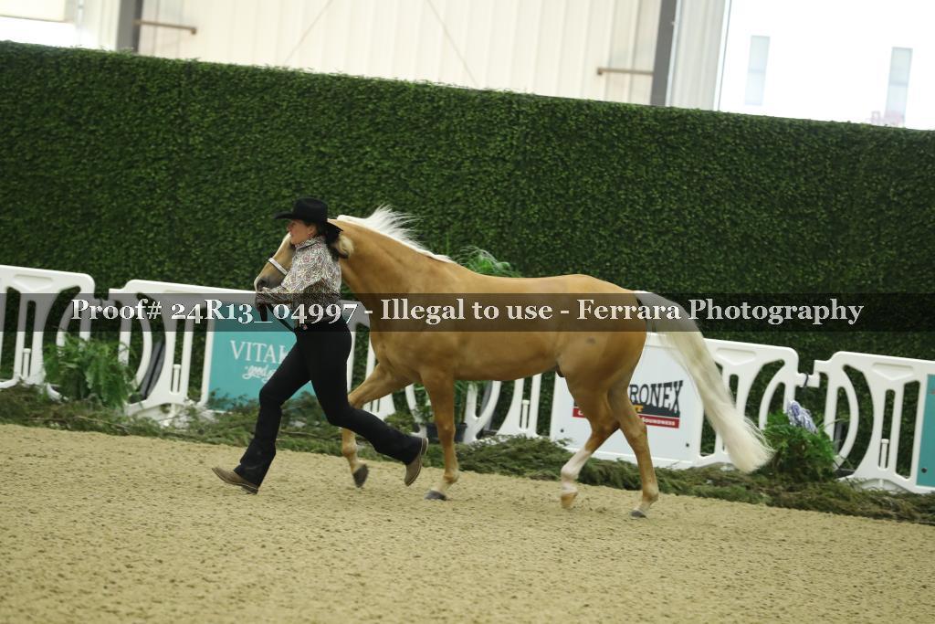 Proof 24R13_04997