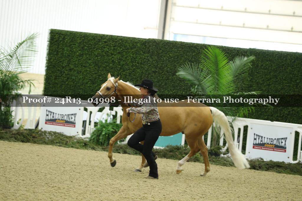 Proof 24R13_04998