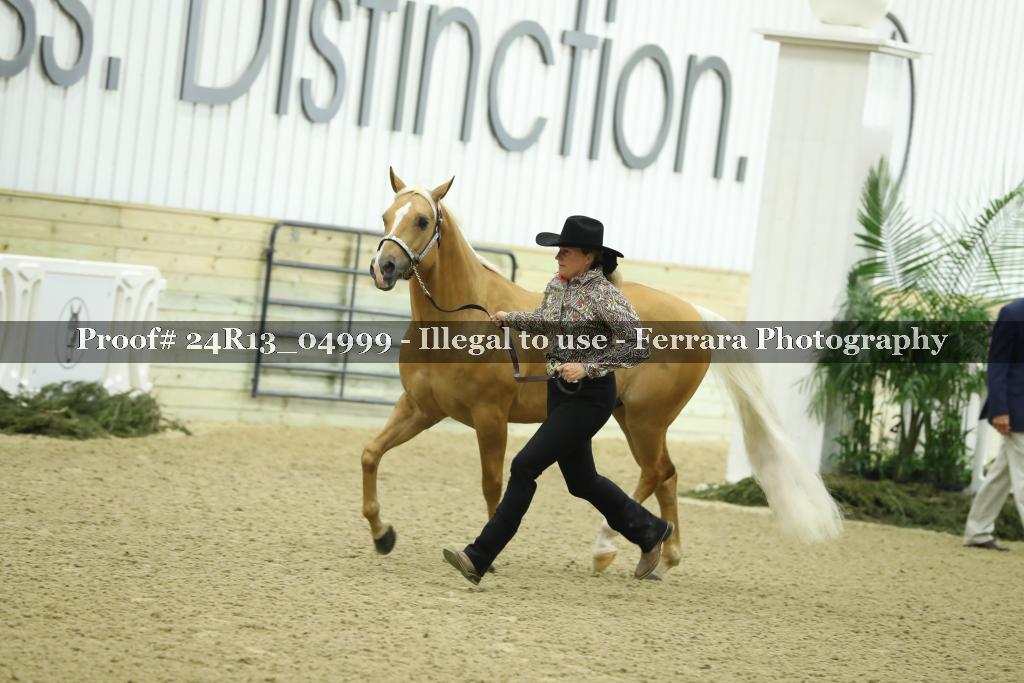 Proof 24R13_04999
