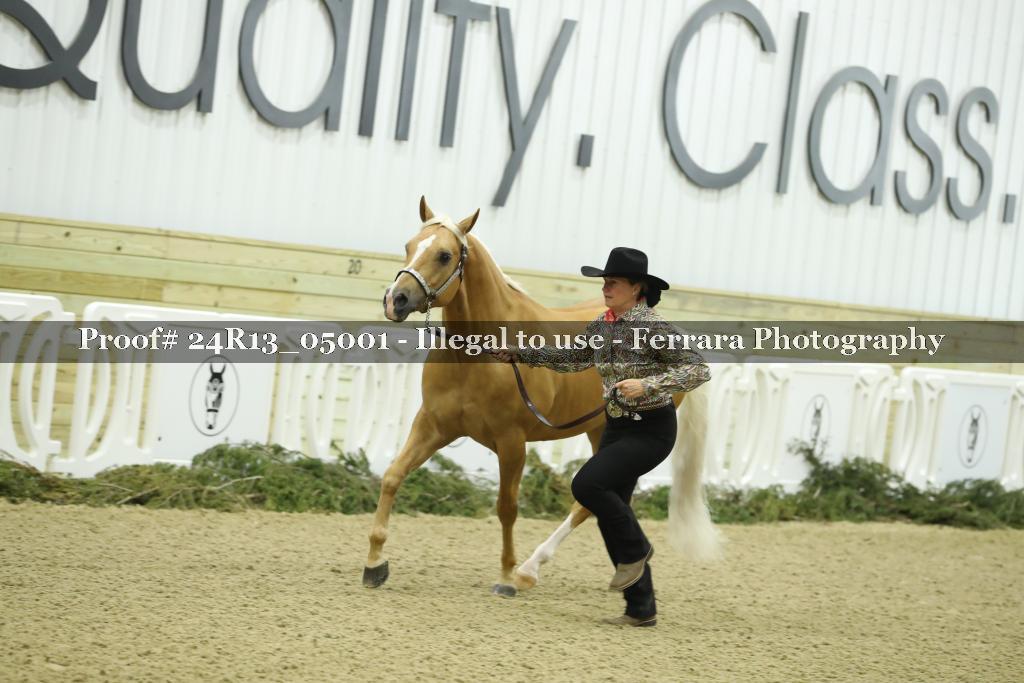 Proof 24R13_05001