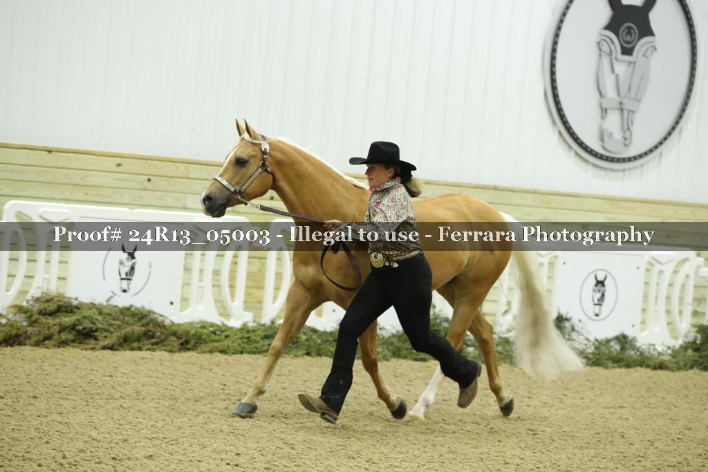 Proof 24R13_05003