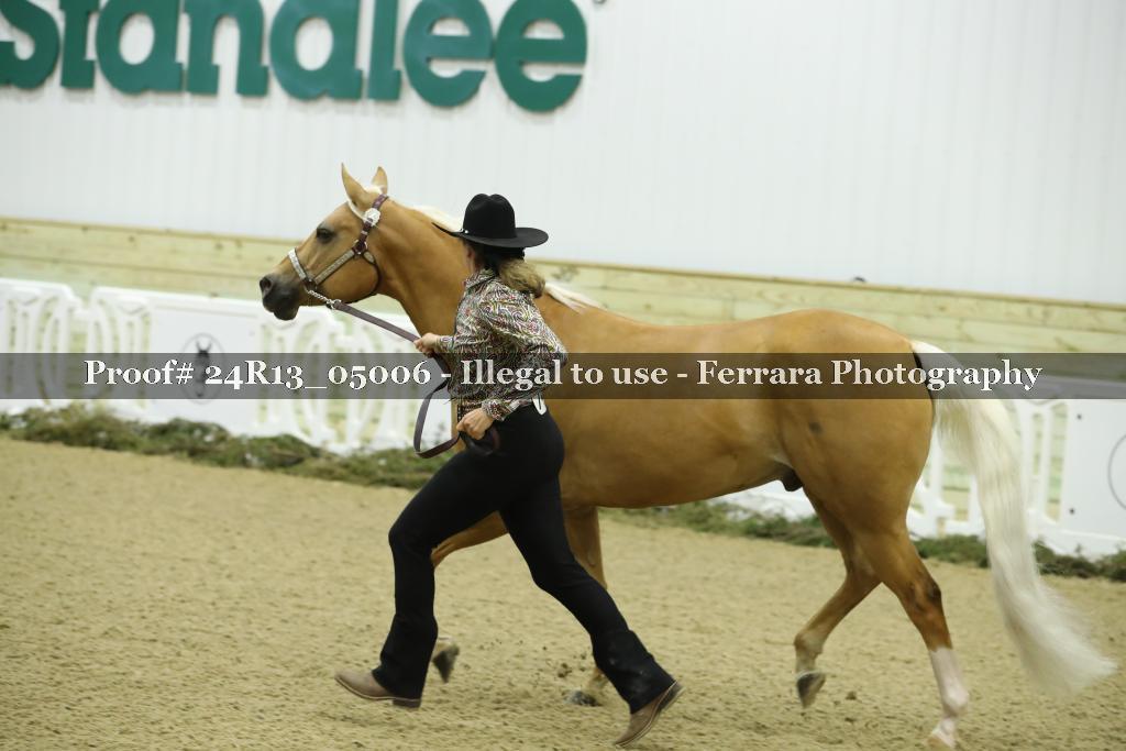 Proof 24R13_05006