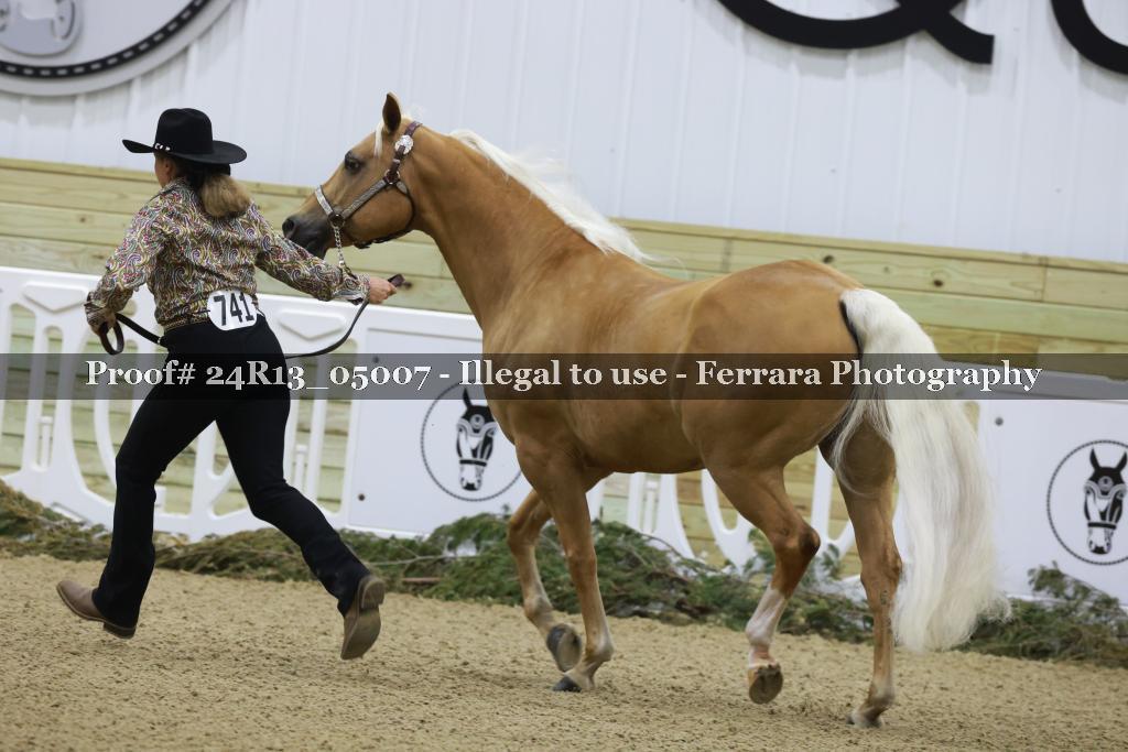 Proof 24R13_05007