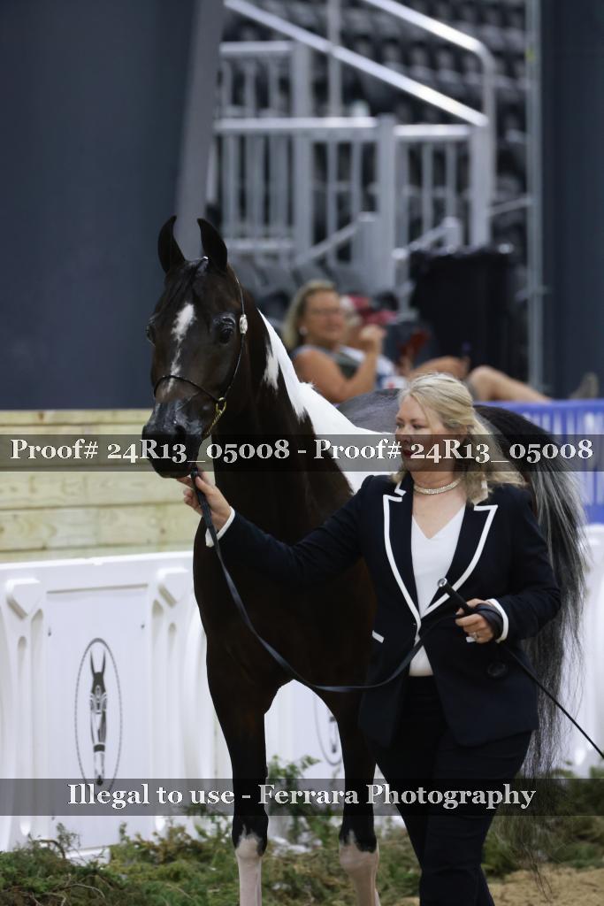 Proof 24R13_05008