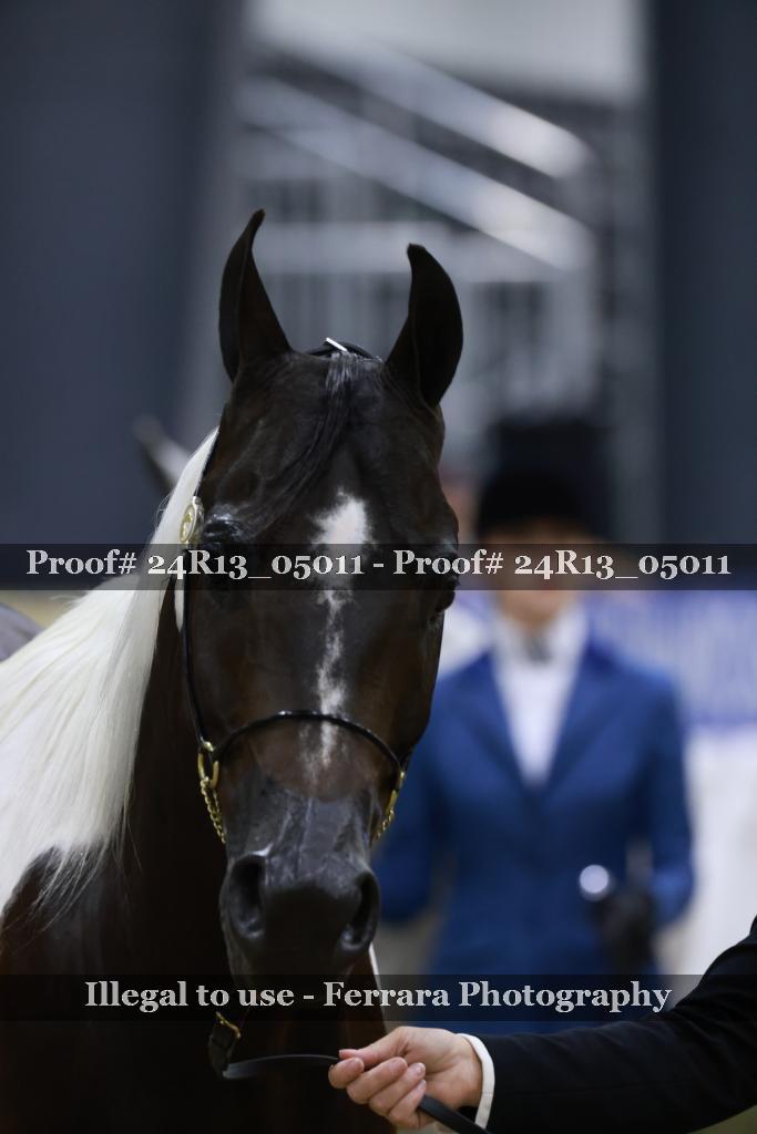 Proof 24R13_05011