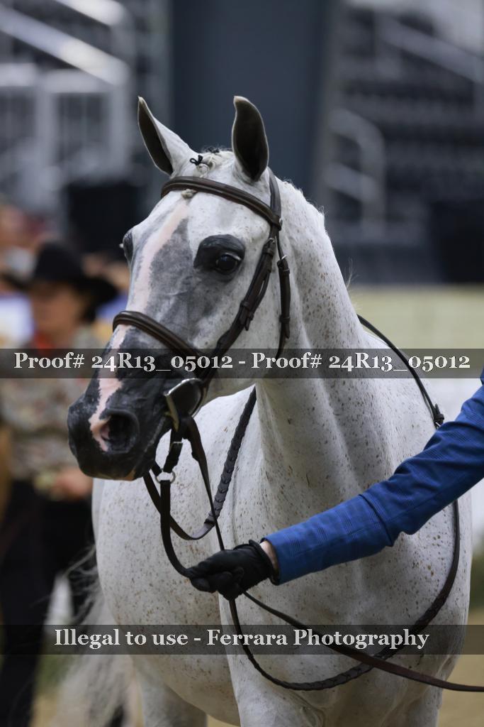 Proof 24R13_05012
