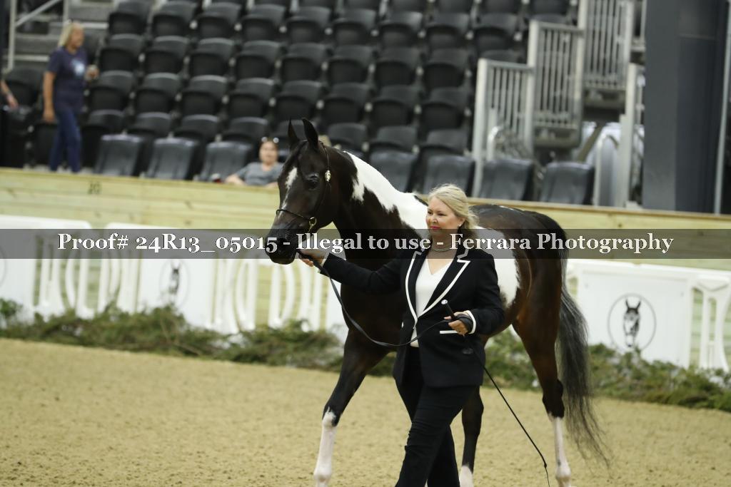 Proof 24R13_05015