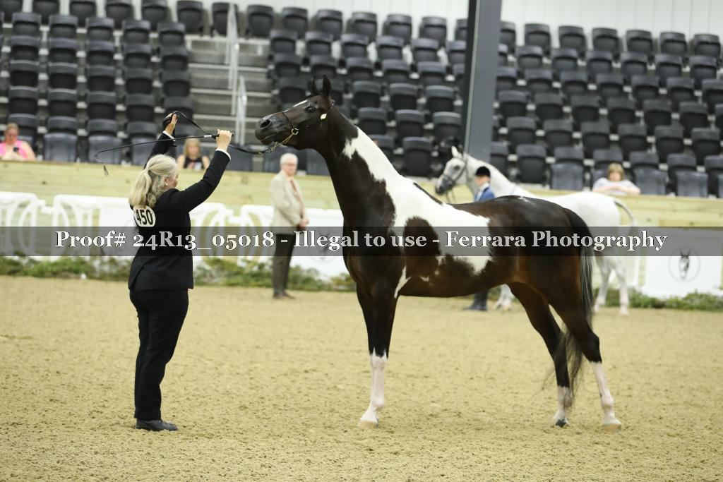 Proof 24R13_05018