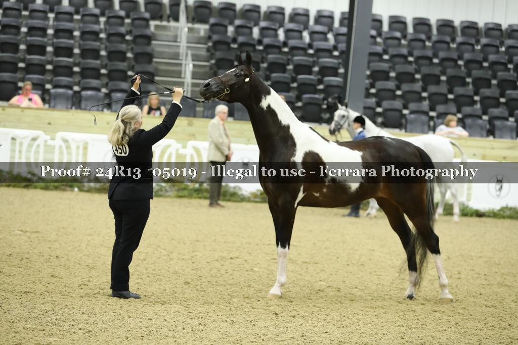 Proof 24R13_05019