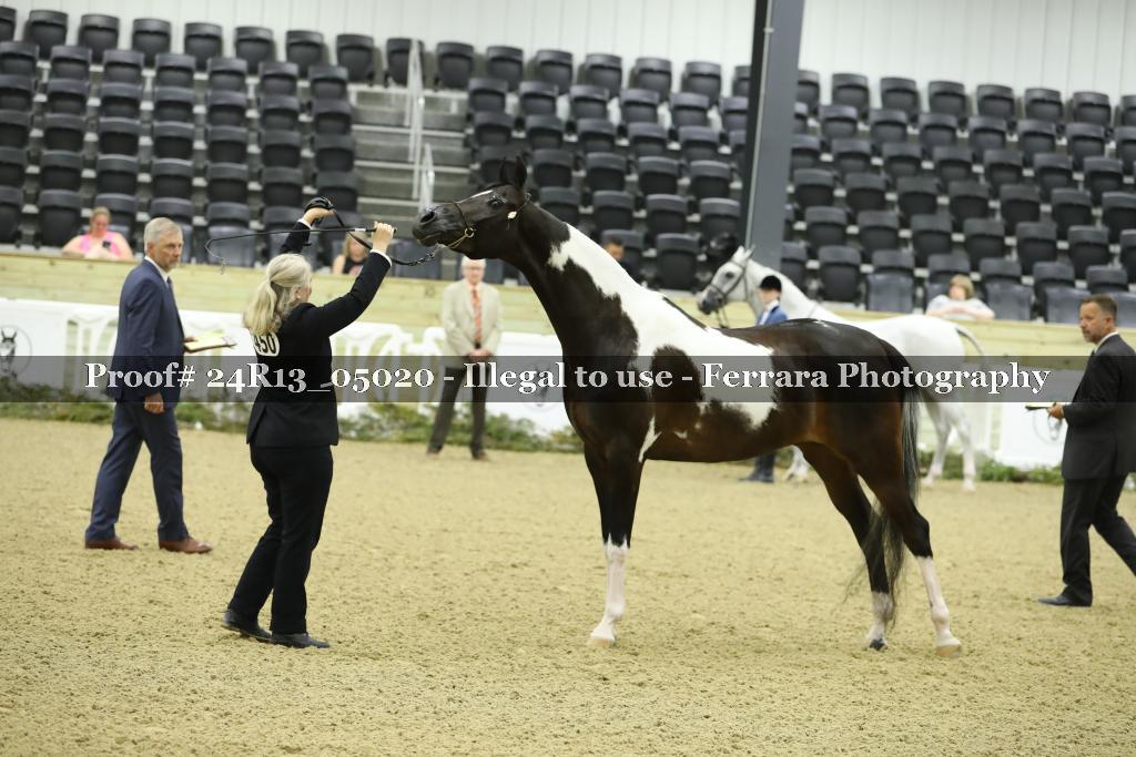 Proof 24R13_05020