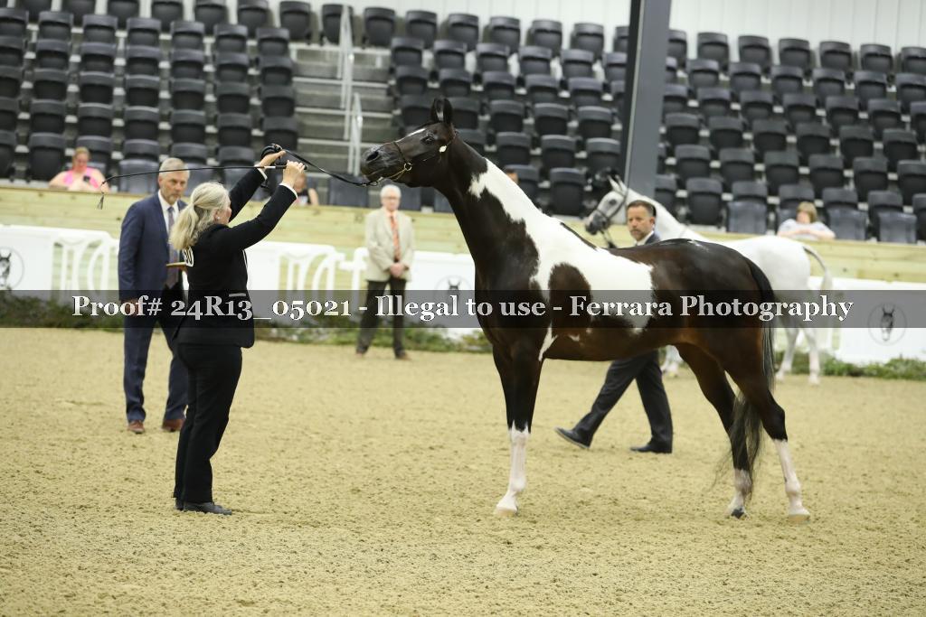 Proof 24R13_05021