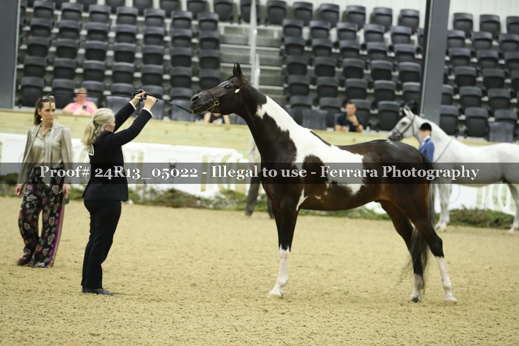Proof 24R13_05022