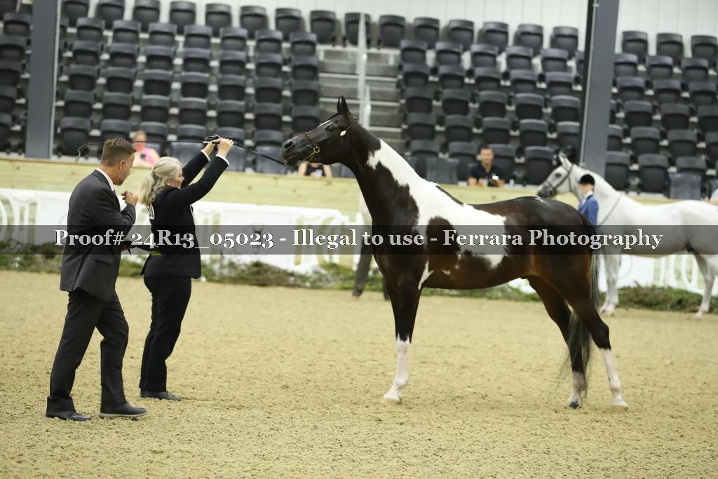 Proof 24R13_05023