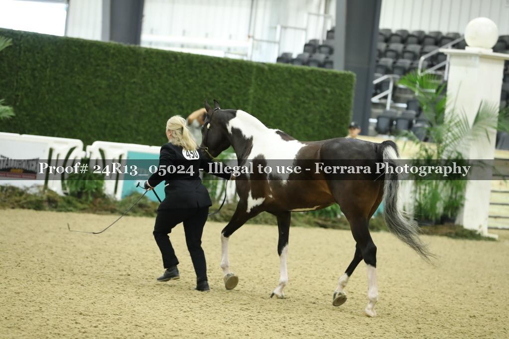 Proof 24R13_05024