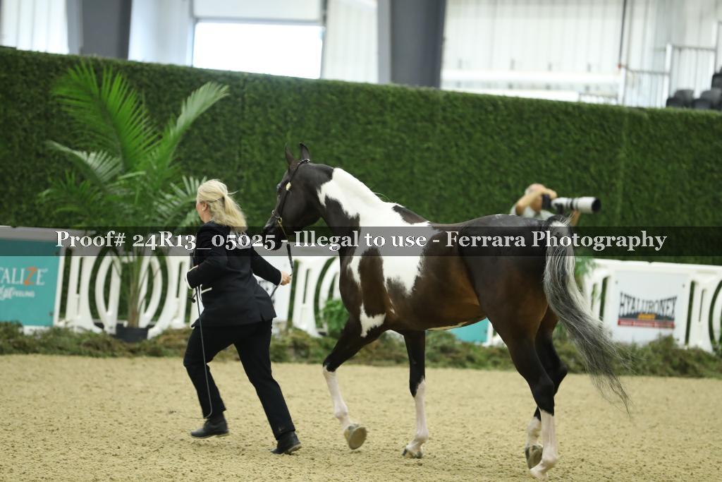 Proof 24R13_05025