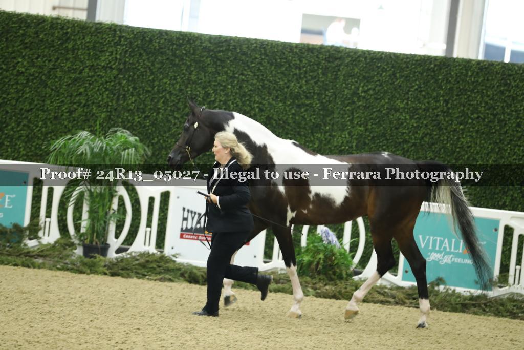 Proof 24R13_05027