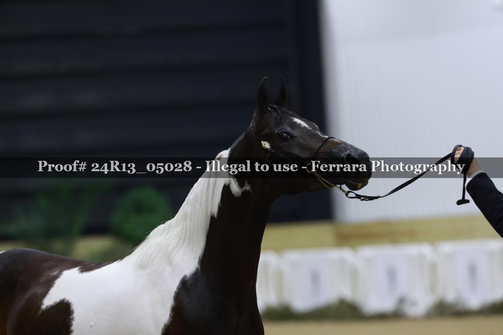 Proof 24R13_05028