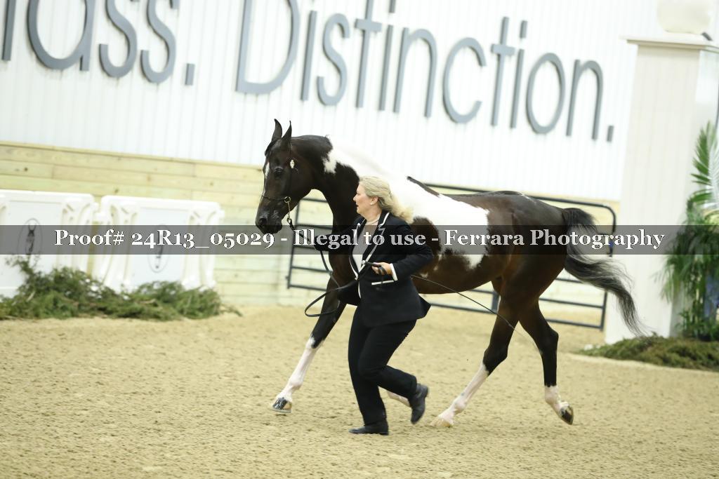 Proof 24R13_05029