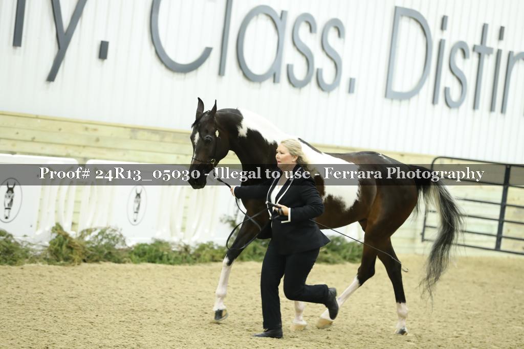 Proof 24R13_05030