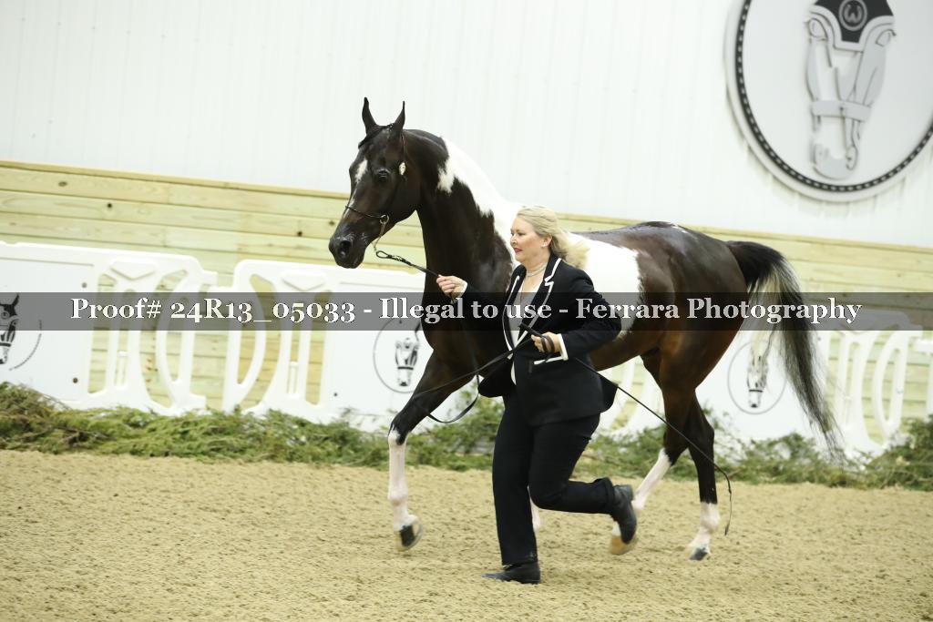 Proof 24R13_05033