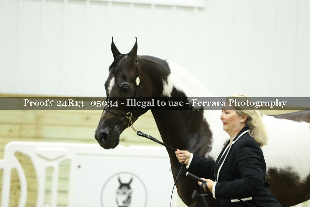 Proof 24R13_05034