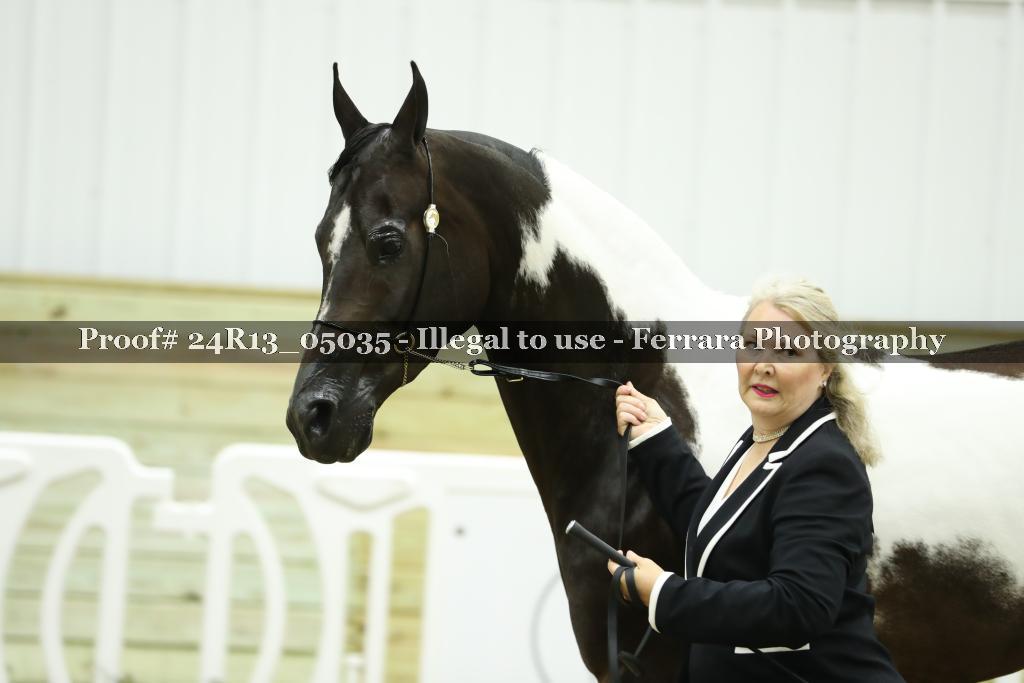 Proof 24R13_05035