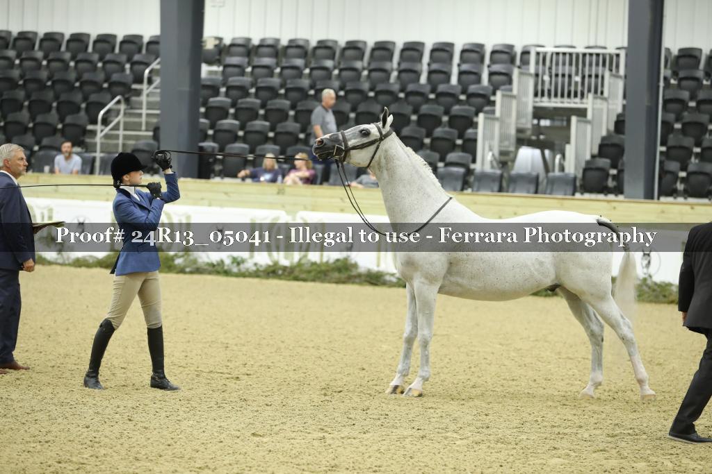 Proof 24R13_05041