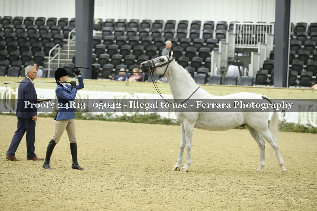 Proof 24R13_05042