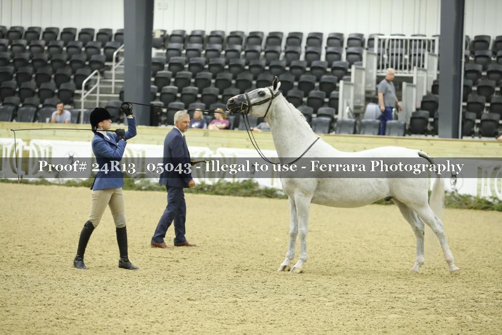 Proof 24R13_05043