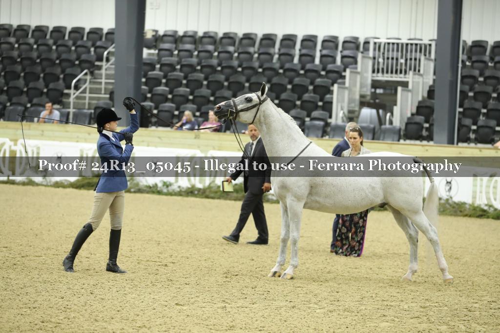 Proof 24R13_05045