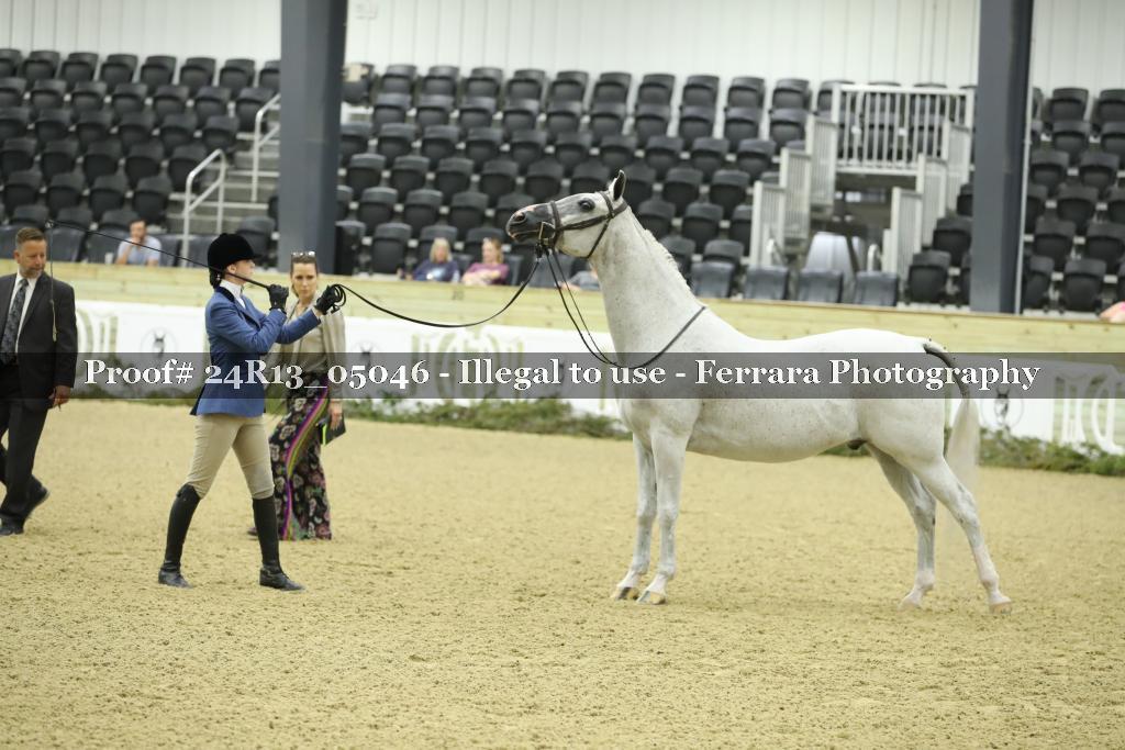 Proof 24R13_05046