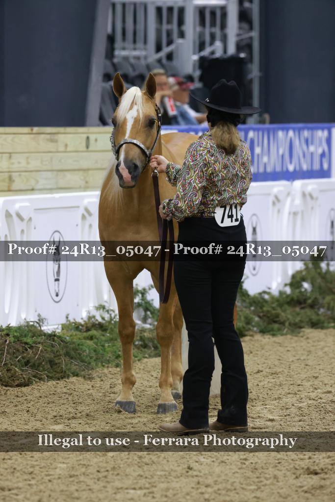 Proof 24R13_05047