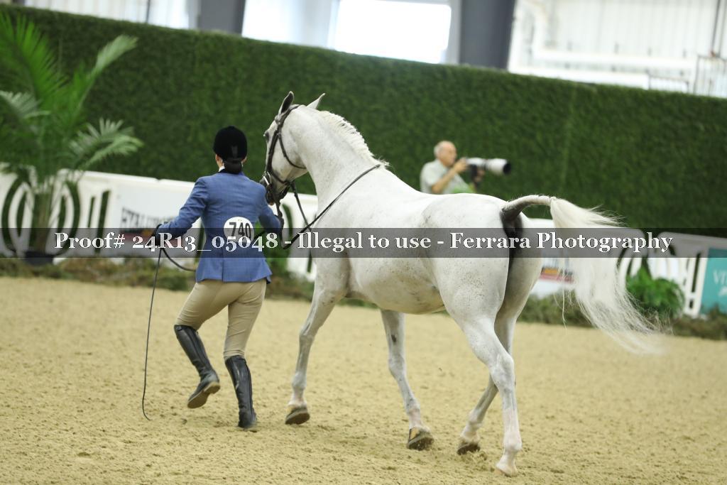 Proof 24R13_05048