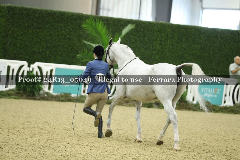 Proof 24R13_05049