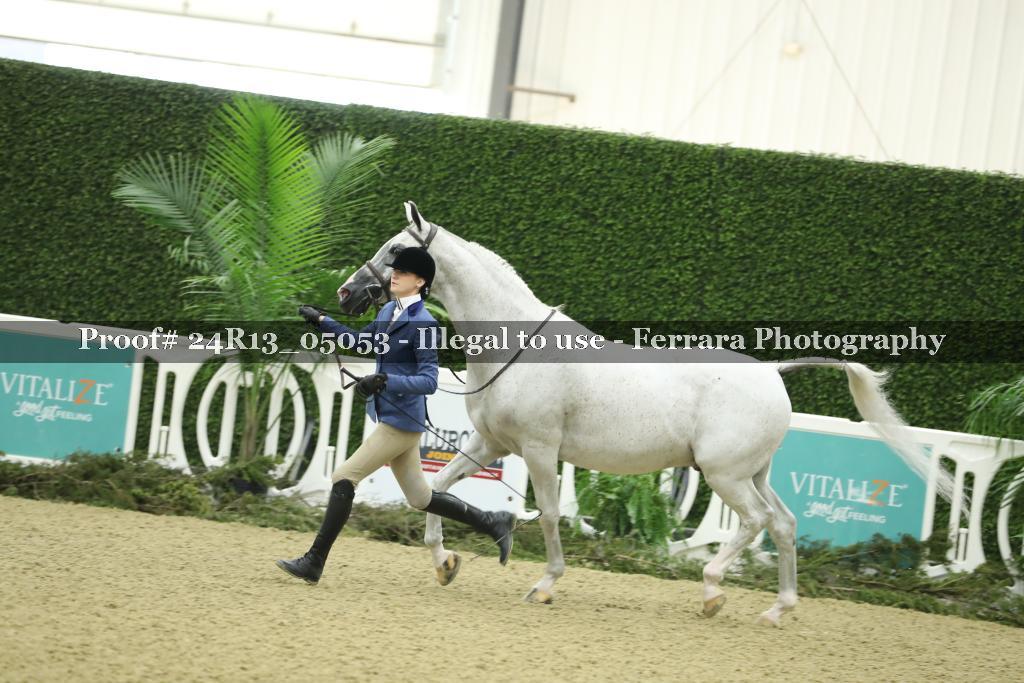 Proof 24R13_05053