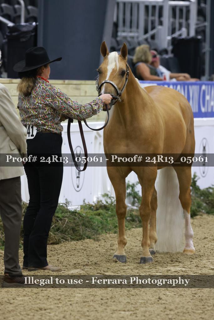 Proof 24R13_05061