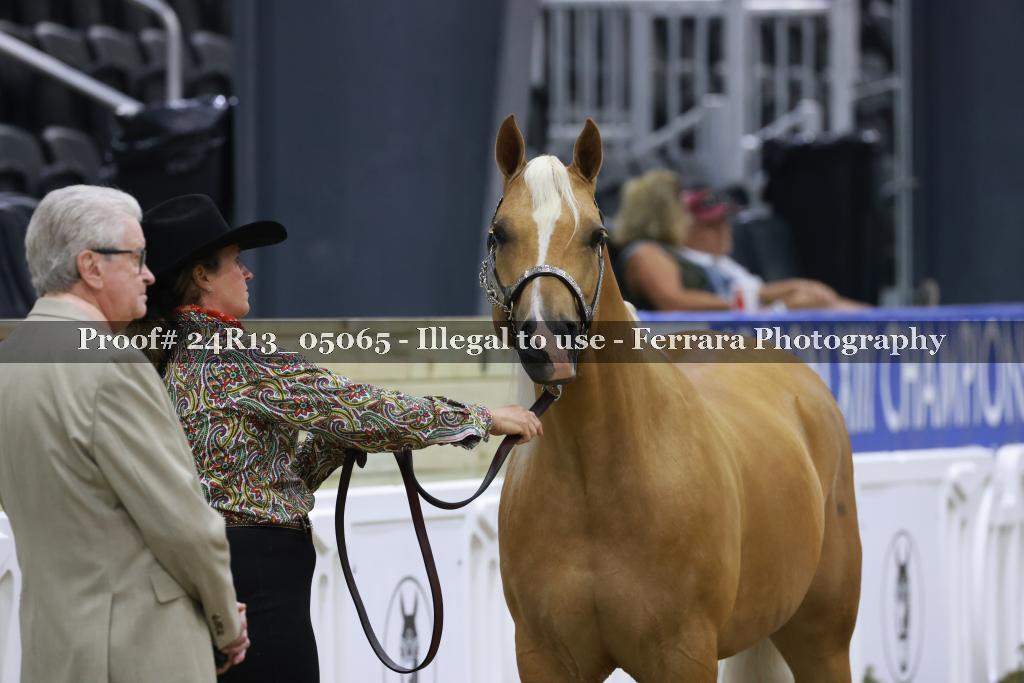 Proof 24R13_05065