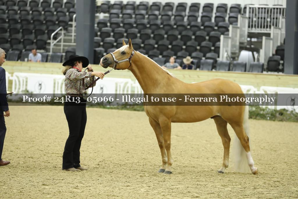 Proof 24R13_05066