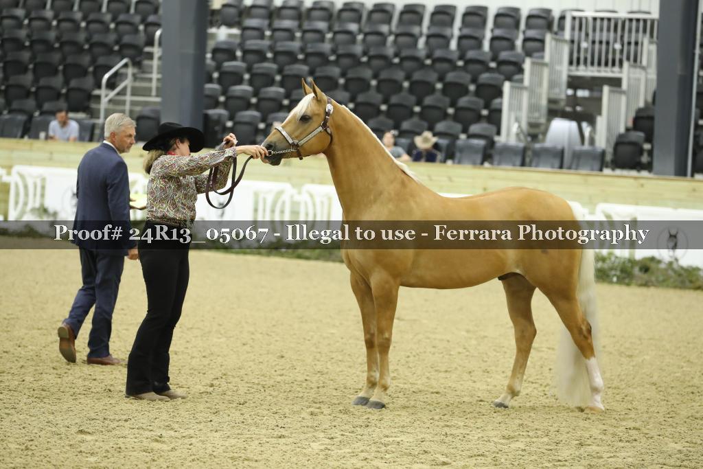 Proof 24R13_05067
