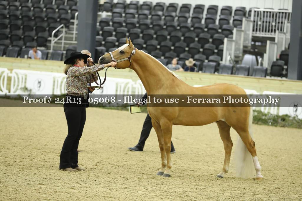 Proof 24R13_05068
