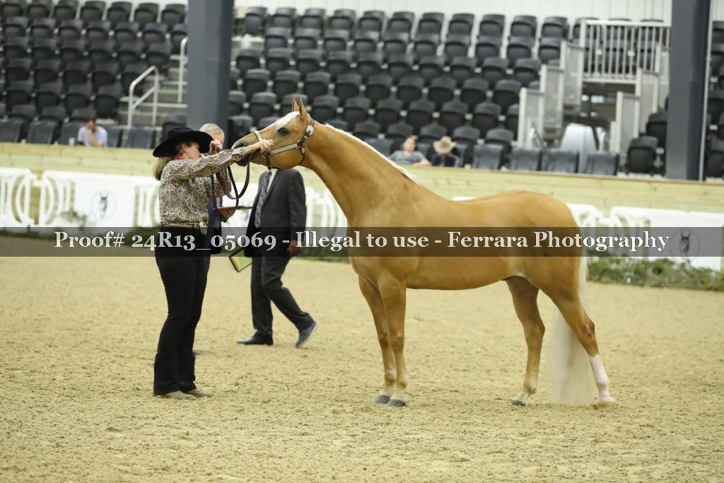 Proof 24R13_05069