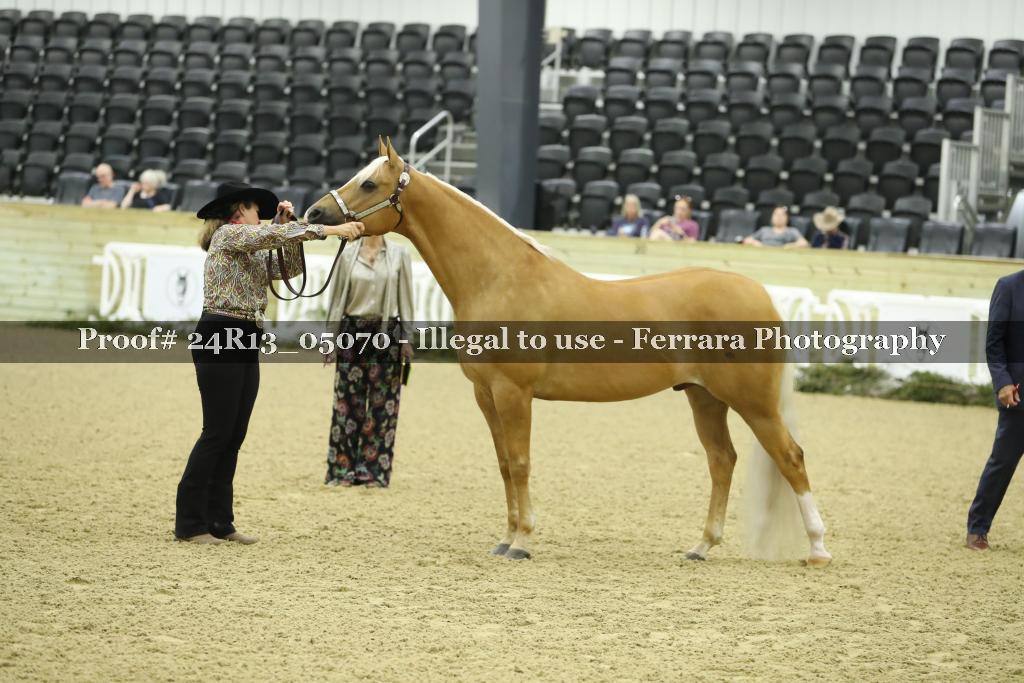 Proof 24R13_05070