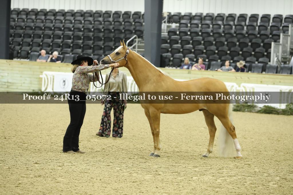 Proof 24R13_05072