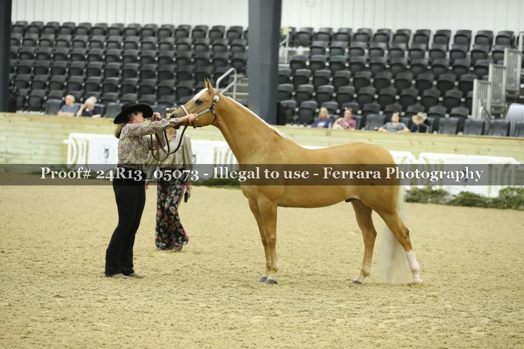 Proof 24R13_05073