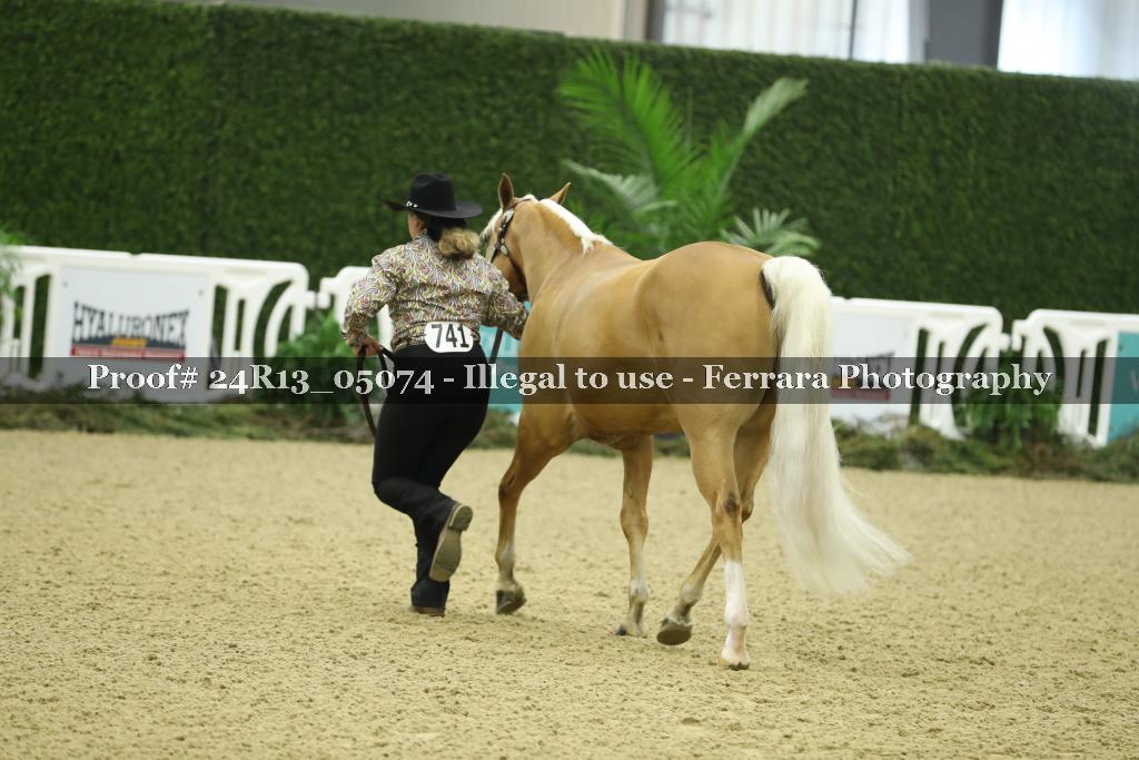 Proof 24R13_05074