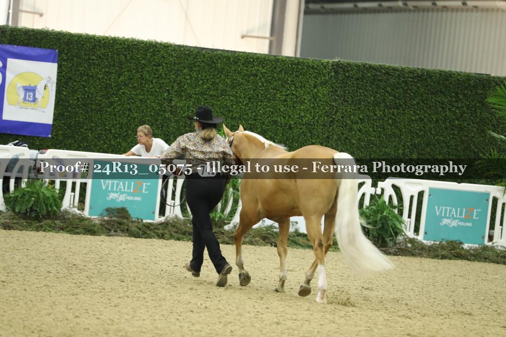 Proof 24R13_05075