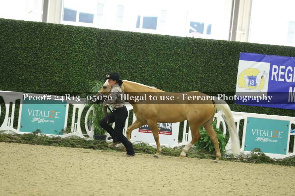 Proof 24R13_05076