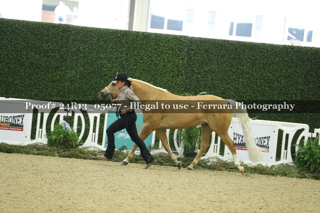 Proof 24R13_05077