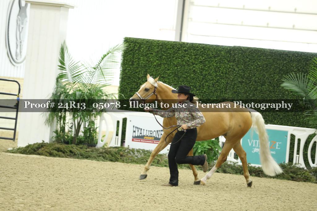 Proof 24R13_05078